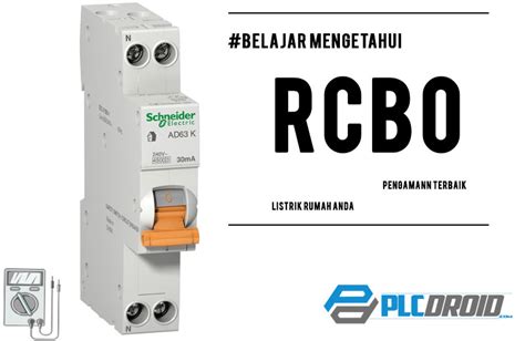 rcbkk|PPT.